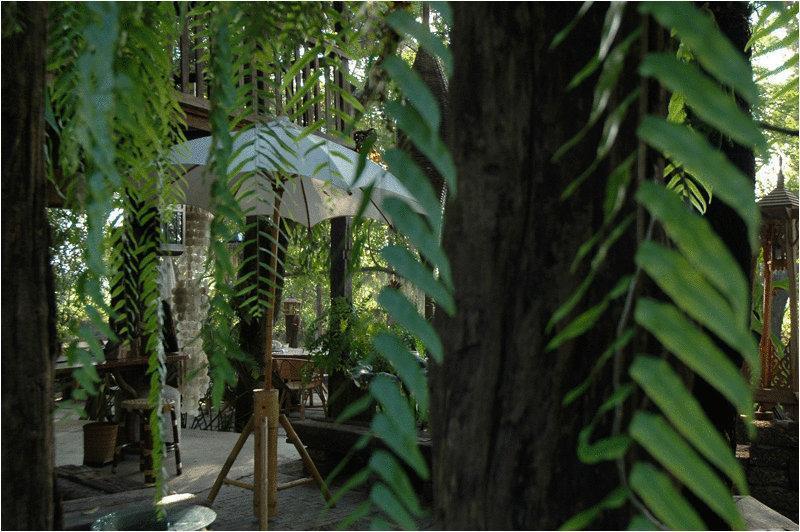 צ'יאנג מאי Fern Paradise מראה חיצוני תמונה