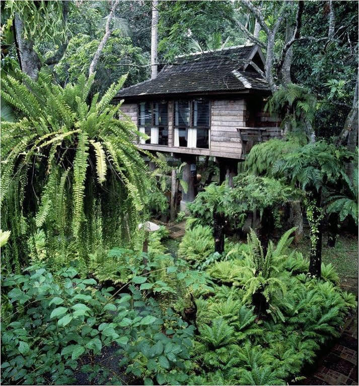 צ'יאנג מאי Fern Paradise מראה חיצוני תמונה